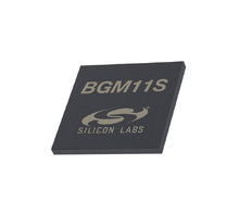BGM11S22F256GA-V2 Image
